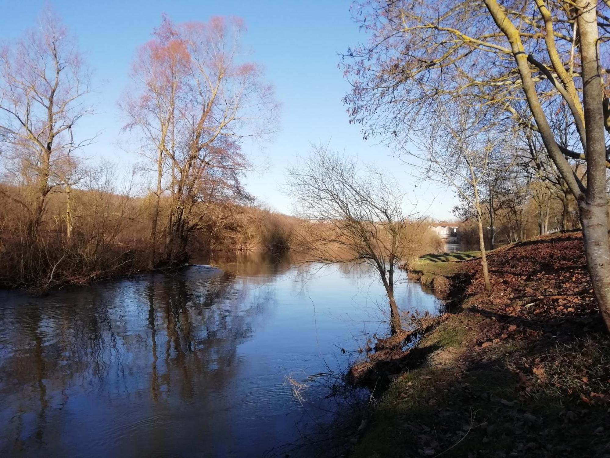 Blainville-sur-l'Eau Chambres D'Hotes La Tuilerie المظهر الخارجي الصورة